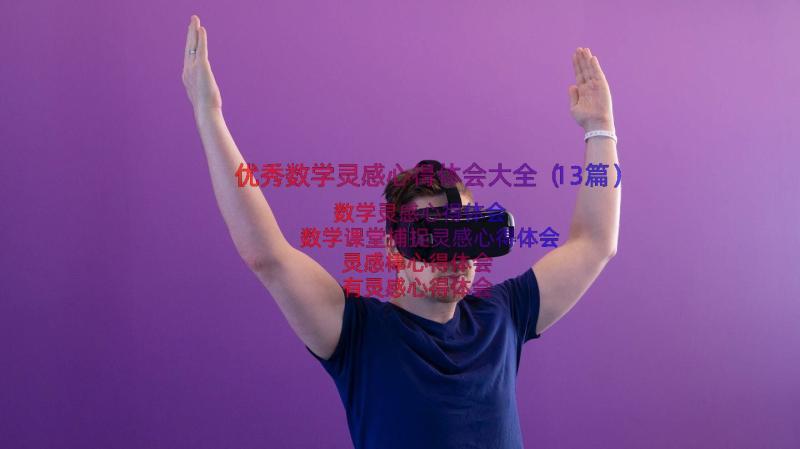 优秀数学灵感心得体会大全（13篇）