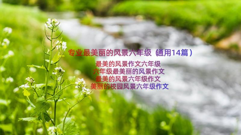 专业最美丽的风景六年级（通用14篇）