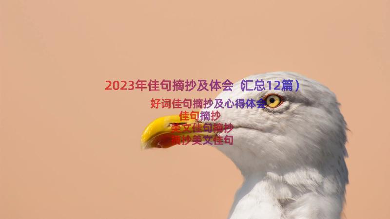 2023年佳句摘抄及体会（汇总12篇）