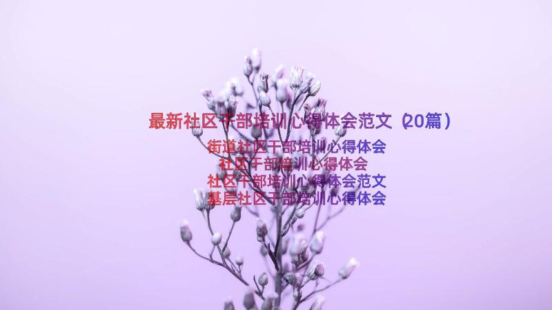 最新社区干部培训心得体会范文（20篇）