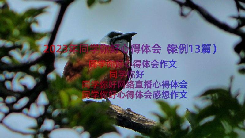 2023年同学你好心得体会（案例13篇）