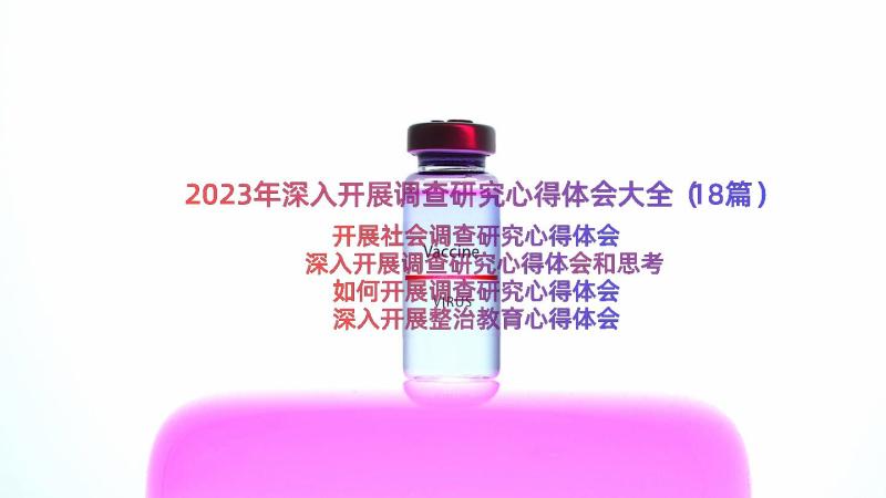 2023年深入开展调查研究心得体会大全（18篇）