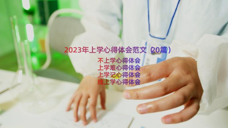 2023年上学心得体会范文（20篇）