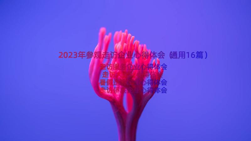 2023年参观走访企业心得体会（通用16篇）