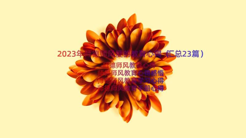 2023年师德师风爱的教育心得（汇总23篇）