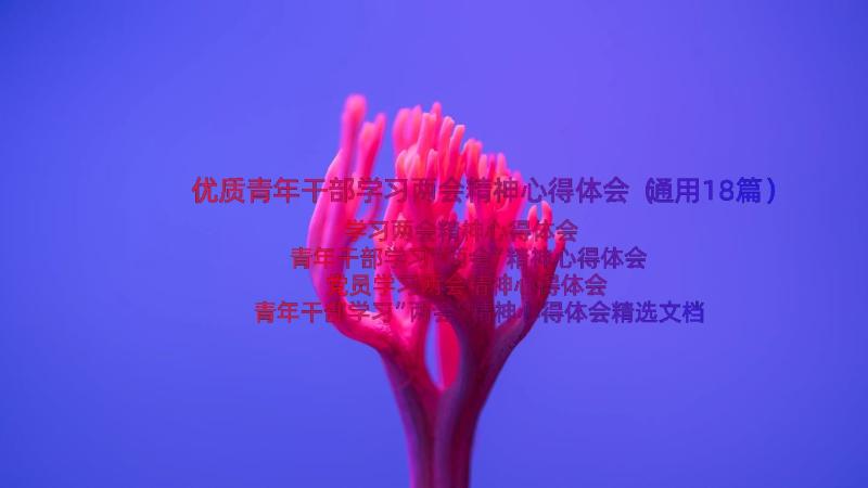 优质青年干部学习两会精神心得体会（通用18篇）