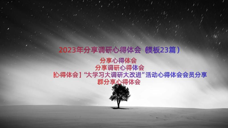 2023年分享调研心得体会（模板23篇）