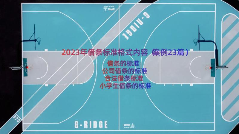 2023年借条标准格式内容（案例23篇）