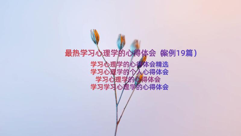 最热学习心理学的心得体会（案例19篇）