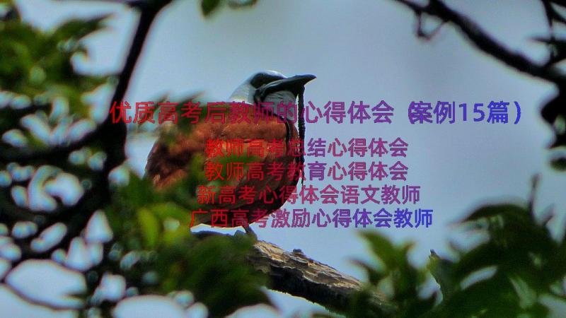 优质高考后教师的心得体会（案例15篇）