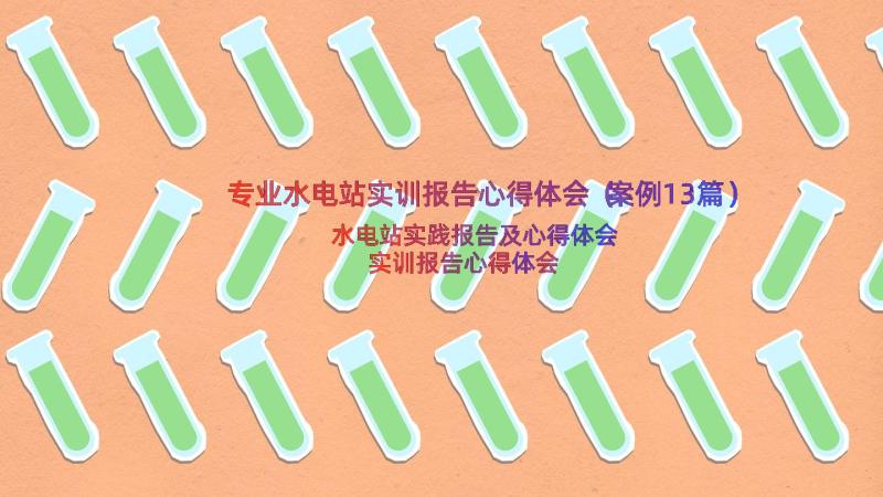 专业水电站实训报告心得体会（案例13篇）