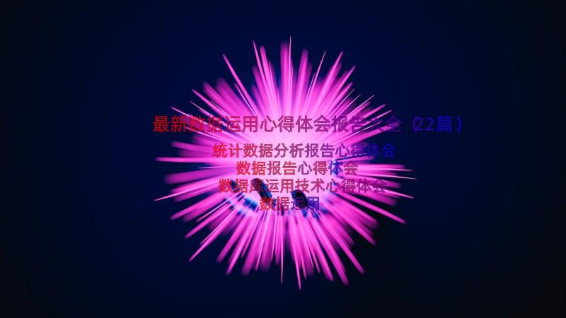 最新数据运用心得体会报告大全（22篇）