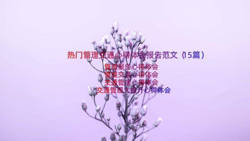 热门管理交通心得体会报告范文（15篇）