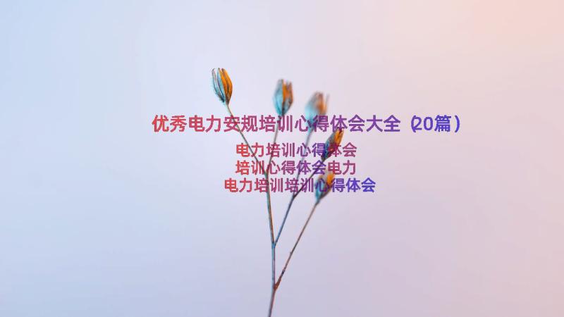 优秀电力安规培训心得体会大全（20篇）