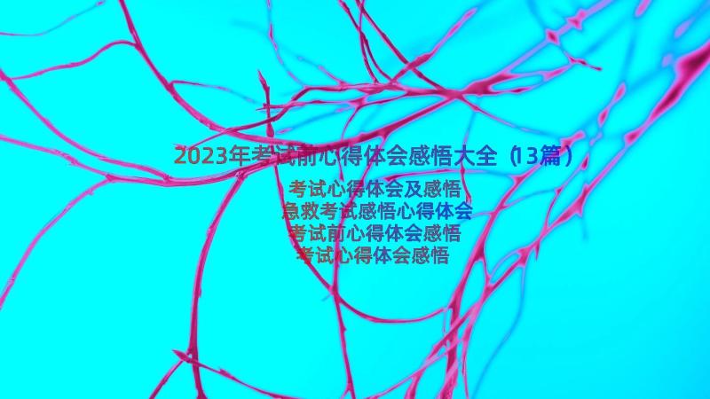 2023年考试前心得体会感悟大全（13篇）