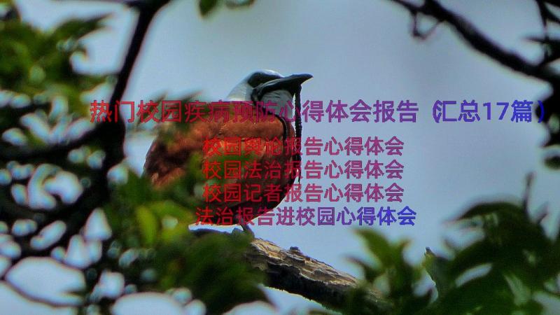 热门校园疾病预防心得体会报告（汇总17篇）