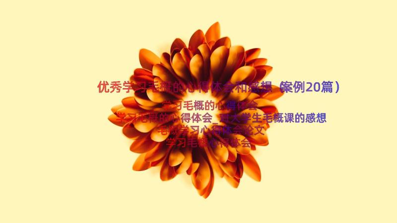 优秀学习毛概的心得体会和感想（案例20篇）