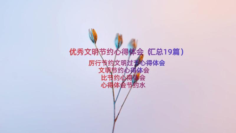 优秀文明节约心得体会（汇总19篇）