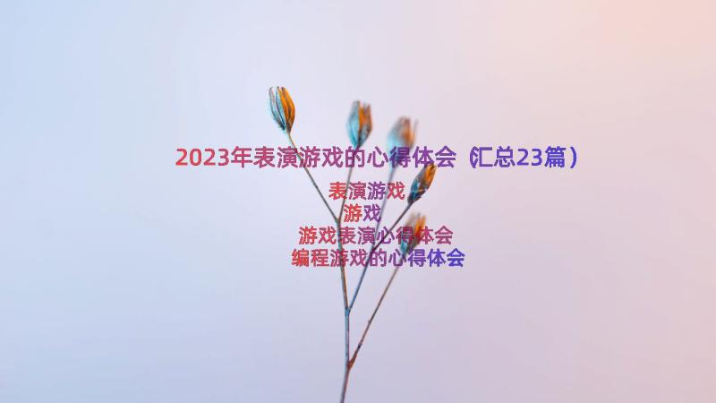 2023年表演游戏的心得体会（汇总23篇）