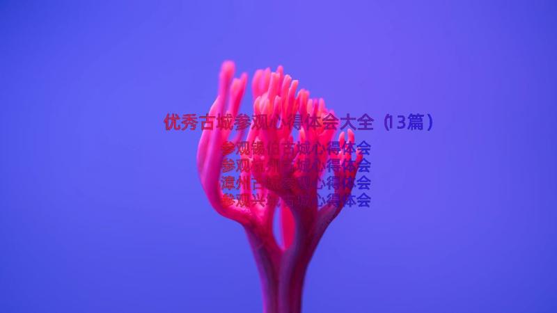 优秀古城参观心得体会大全（13篇）