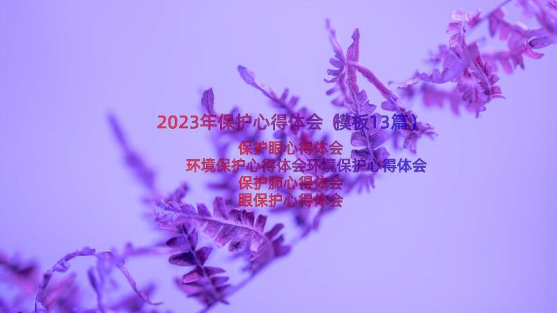 2023年保护心得体会（模板13篇）