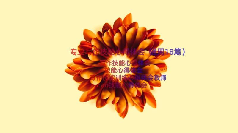 专业写作技能心得体会（通用18篇）