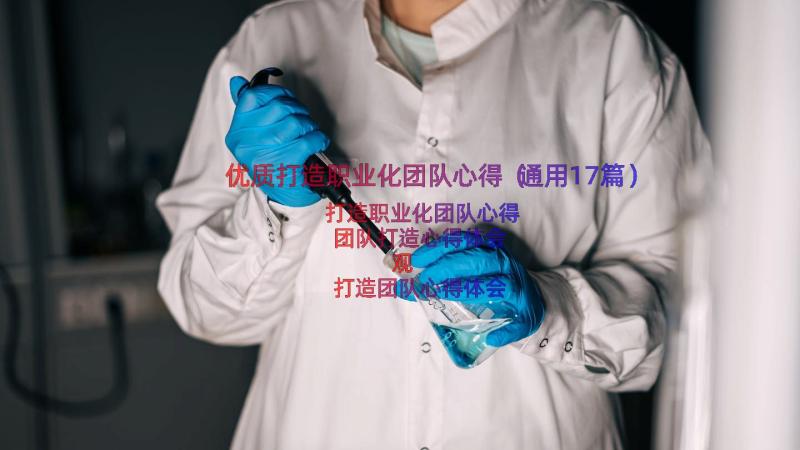 优质打造职业化团队心得（通用17篇）