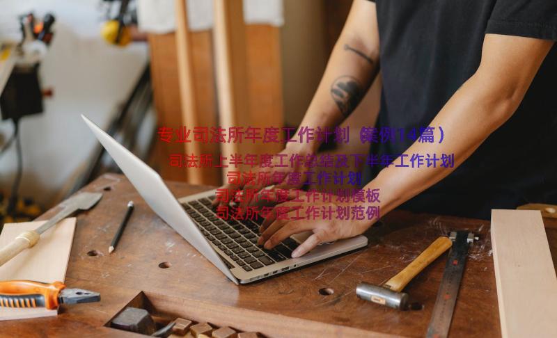 专业司法所年度工作计划（案例14篇）