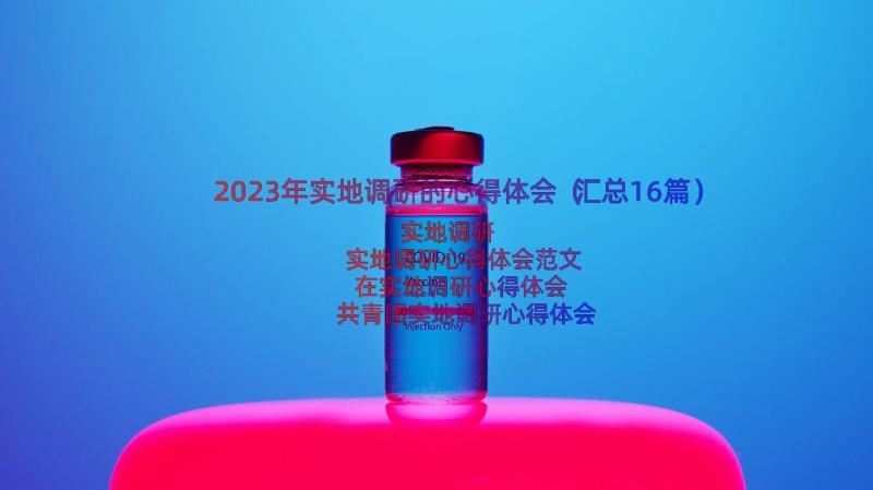 2023年实地调研的心得体会（汇总16篇）