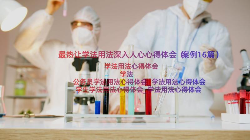 最热让学法用法深入人心心得体会（案例16篇）