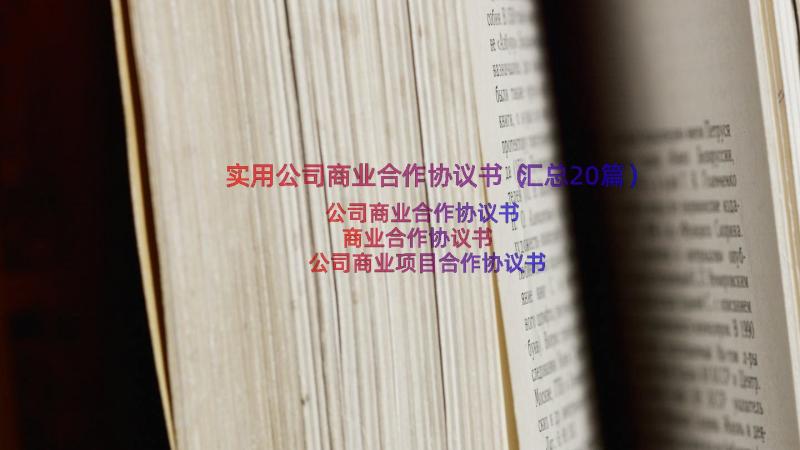 实用公司商业合作协议书（汇总20篇）