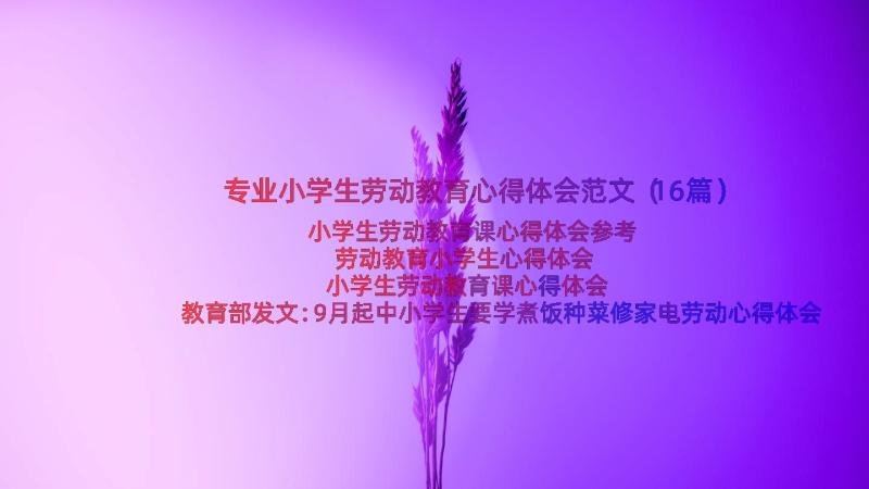 专业小学生劳动教育心得体会范文（16篇）