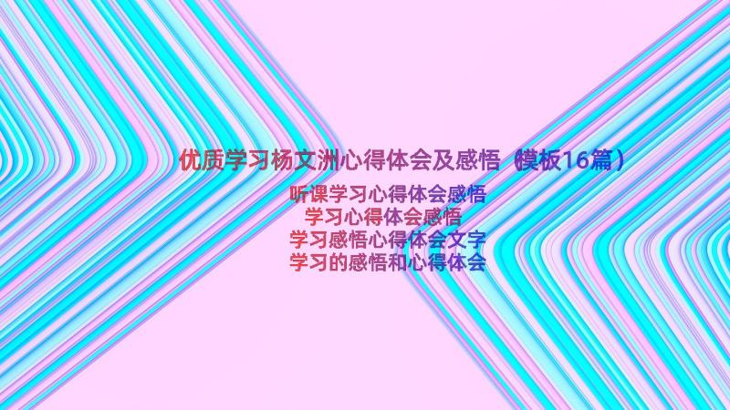 优质学习杨文洲心得体会及感悟（模板16篇）