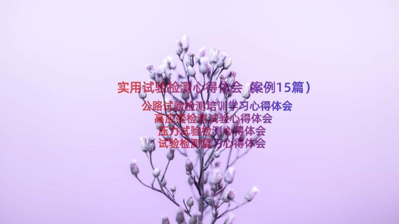 实用试验检测心得体会（案例15篇）