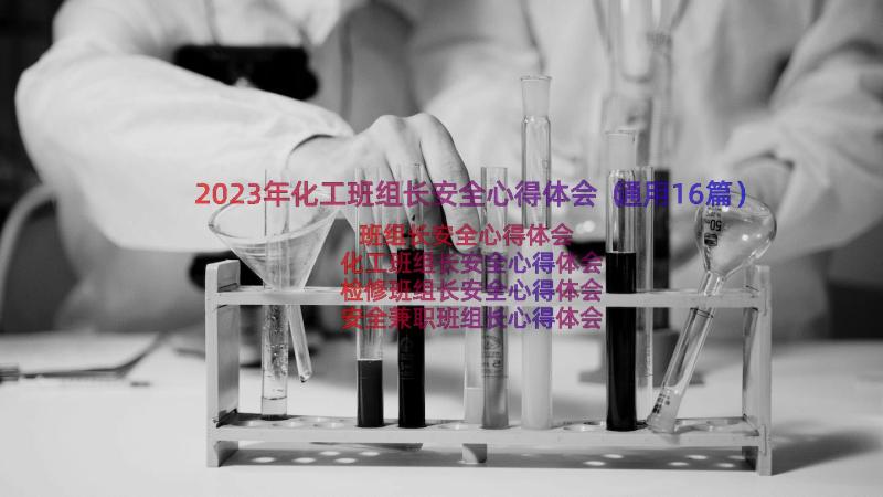 2023年化工班组长安全心得体会（通用16篇）