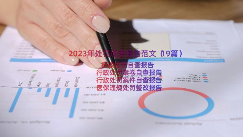 2023年处罚追责报告范文（19篇）