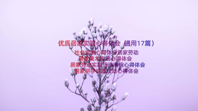 优质居家实践心得体会（通用17篇）