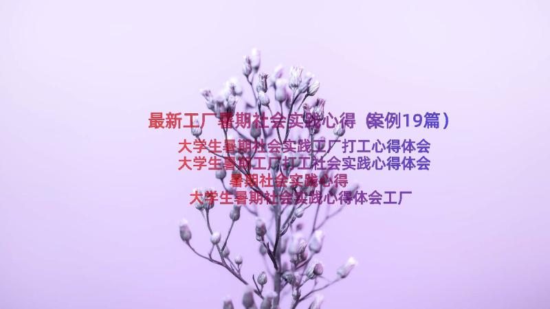 最新工厂暑期社会实践心得（案例19篇）