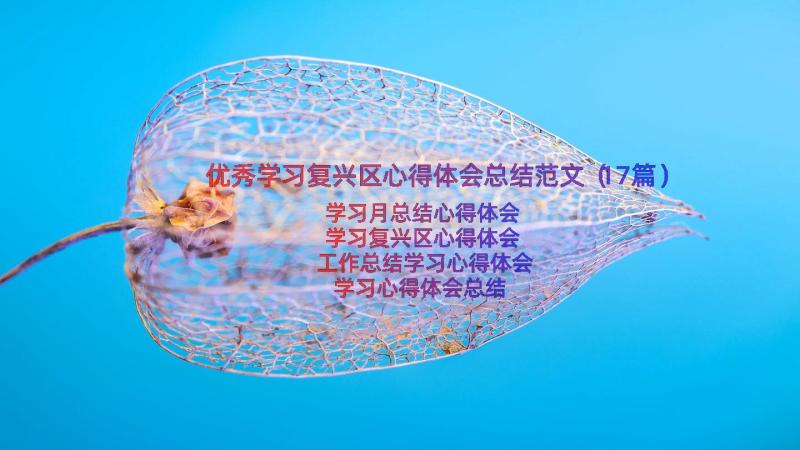 优秀学习复兴区心得体会总结范文（17篇）