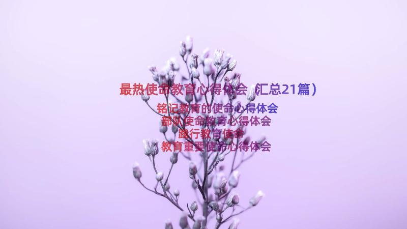 最热使命教育心得体会（汇总21篇）