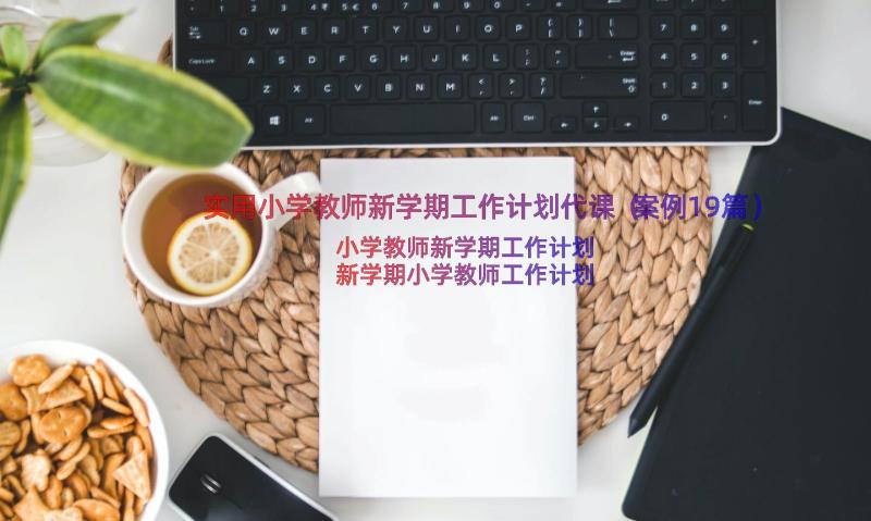 实用小学教师新学期工作计划代课（案例19篇）