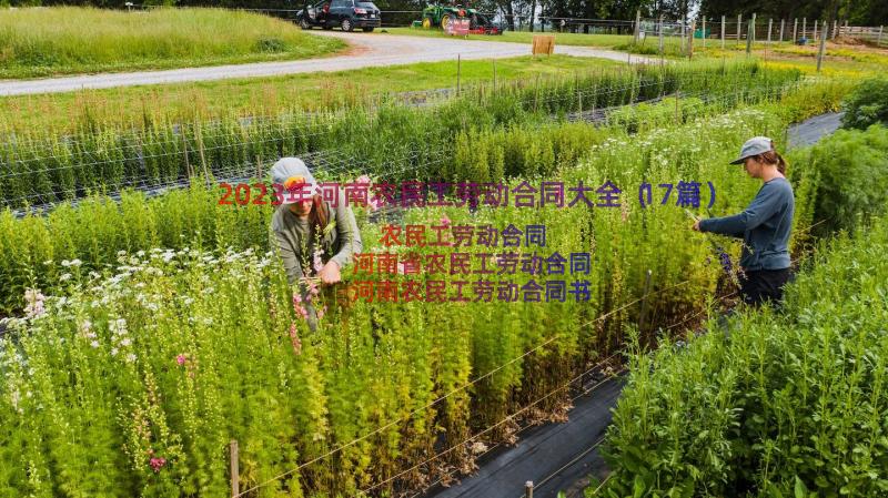 2023年河南农民工劳动合同大全（17篇）