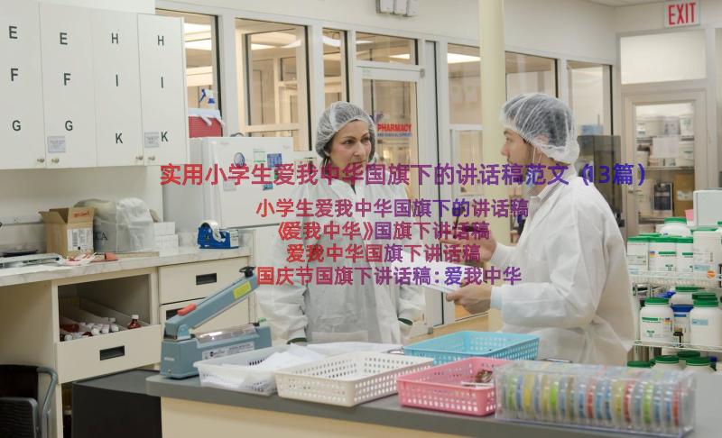 实用小学生爱我中华国旗下的讲话稿范文（13篇）