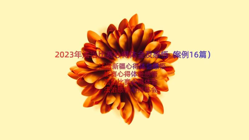 2023年法治比赛心得体会及感悟（案例16篇）