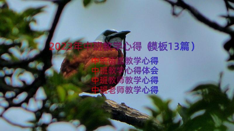 2023年中班教学心得（模板13篇）