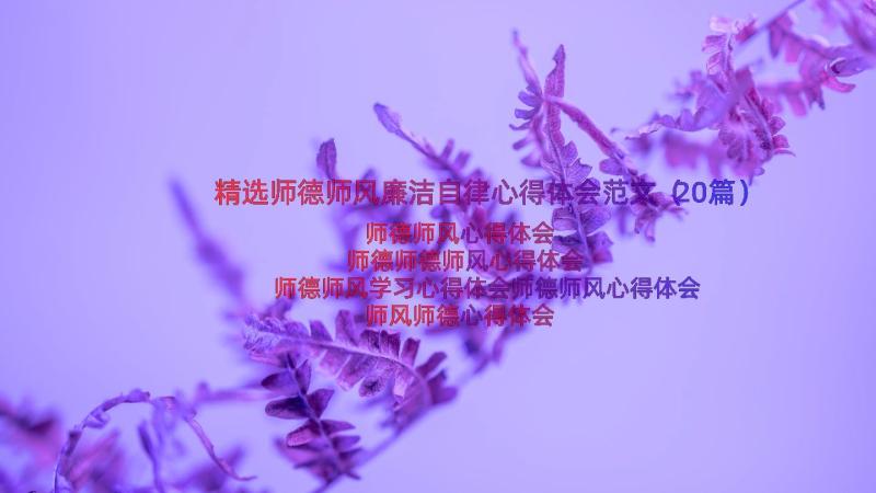 精选师德师风廉洁自律心得体会范文（20篇）