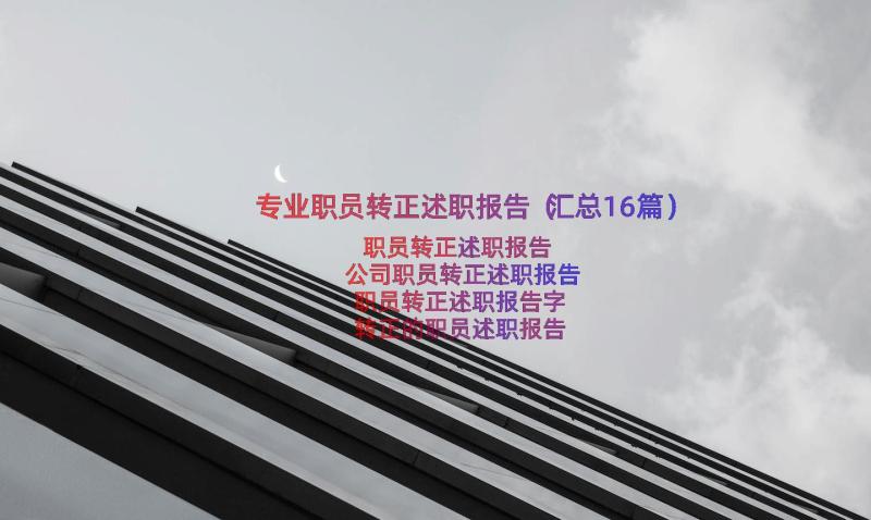 专业职员转正述职报告（汇总16篇）