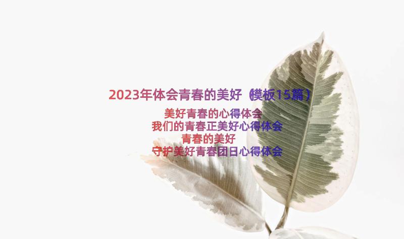 2023年体会青春的美好（模板15篇）