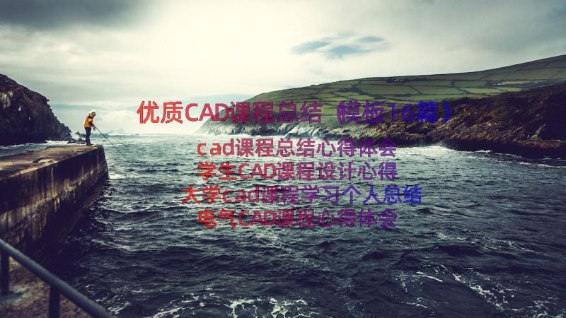 优质CAD课程总结（模板16篇）