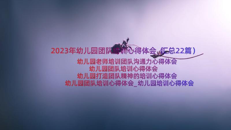 2023年幼儿园团队培训心得体会（汇总22篇）